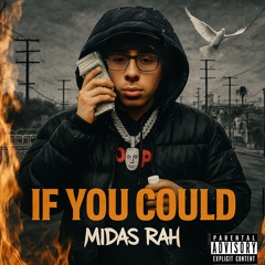 IF YOU COULD (Prod. Verse2)