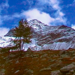 val malenco