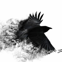 Camo & Krooked and Mefjus - Sientelo (Humi's Aguila Del Solstice Edit)[HD-REMASTER]