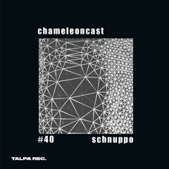 chameleon #40 - schnuppo