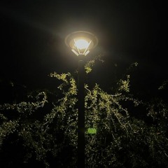 Gone By The Evening ( demo )