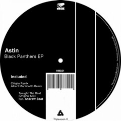 Trought The Beat (Original Mix) - Astin, Andrew Beat