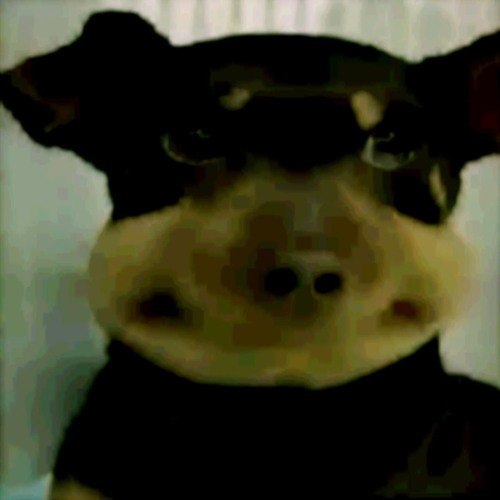 boi 2