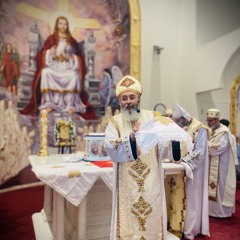 Fraction to the Son: O Lamb of God + Fr Pishoy Wasfy +