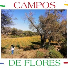 Campo De Flores