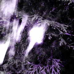wildin! w/nullisdead + prod. 808godo