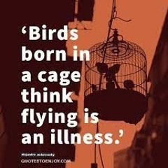 SC #271 - Bloxbeats - Born In Cages - Maxine Nightingale, You Made My Life Beautiful