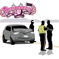 drunk driving (maeri)
