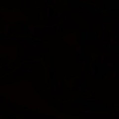 Mujeriego