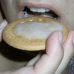 Soggy Biscuit Mix