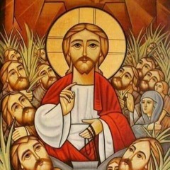 The 4 Gospel Responses - Hosanna Sunday