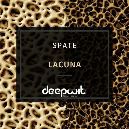 Spate - Crescent (Domestic Science Remix) Out Now