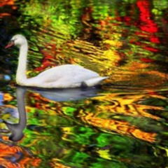 Tech House Party Mix (Wilswanya)(2024-05-29)