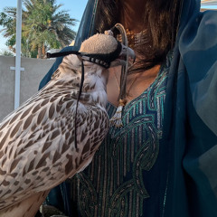 مـا طرف نوم عيني🪶🤍