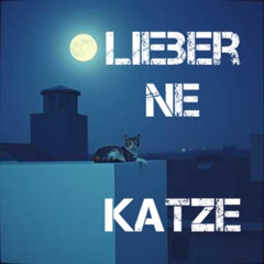 Lieber ne Katze