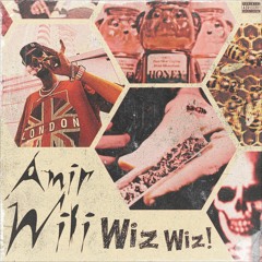 WizWiz