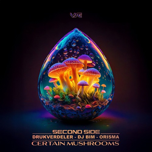 Certain Mushrooms [preview]