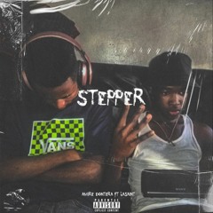 STEPPER W/Lasaint