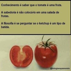 DJ Tomate é Fruta - PANELADA DESCARALHADA ATUALIZADA 2K24