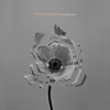 Hearts Like Ours Mp3