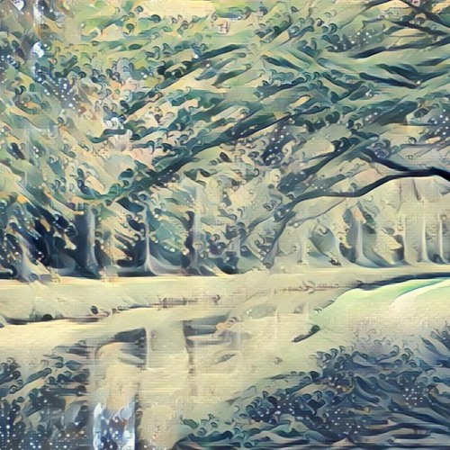 Polip - La Forêt Fossile