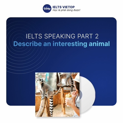 describe an interesting animal you have seen ielts speaking part 2