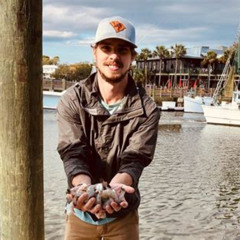 Review Special Price Behind The Scenes Of Shem Creek Shrimp Walking Tour