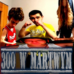 300 W MARTWYM