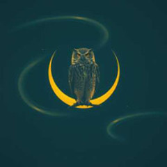 Searching the Blackness