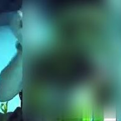 Video@@ [ New 18+ ] scubagirl scuba girl video scuba girl asu video ry desabato video leak