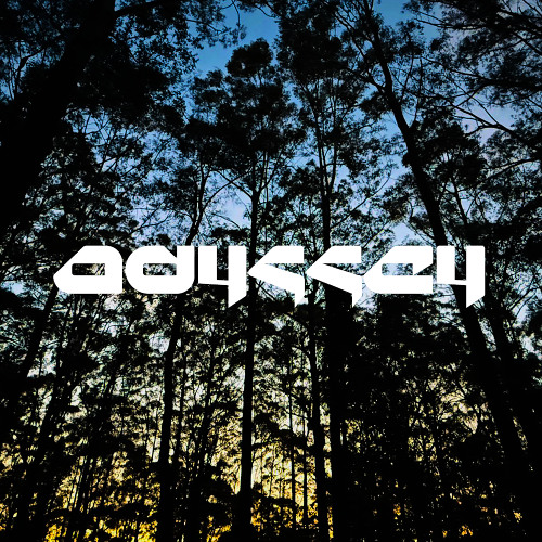 Midnight in a forest / 2 hours of epic trance from the Turtle Dome / Midnight Set / Oct 2025