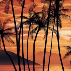 SURFYY - BACKBLOCKS *PROD.KADE*