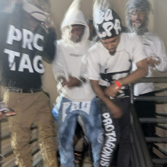 FR x Kashmiir