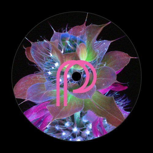 Digital Justice - Theme From 'It's All Gone Pear Shaped' (visualize.more edit) [PSYCHOTROPIC001]