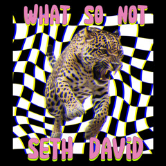 What So Not - Jaguar (Seth David Wonky Flip)