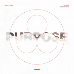 Noisia & Phace - Purpose (Buunshin Remix)