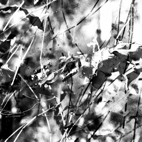 Translate & Pulso - Elliptic Map [NGM002]