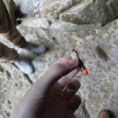 Way2high