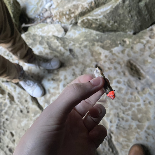 Way2high
