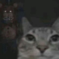 CIK🔑⛈️ Anthem Hydro Mel 220 bpm Remix wit @Sims #Tang #Phillyclub #y2k #104