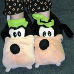 GOOFY SLIPPERS
