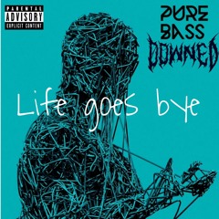 LIFE GOES BYE