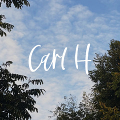 Taylor Swift - The Fate of Ophelia (Carl H Remix)