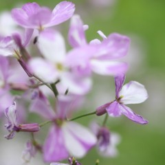 Everyone's Just One Out of a Number