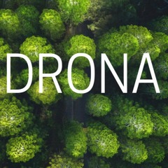 Drona(ദ്രോണ)-Theme Song |Mammootty| Remix