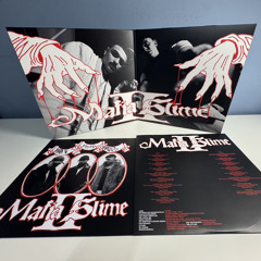 No pinscher (Ft. Kuremino, Rhove)