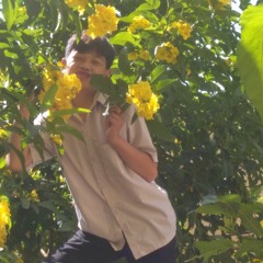 full track LÃ PHONG LÂM hay nhất