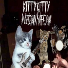 I GAVE A STRAY CAT A GUITAR AND HE STARTED A GOREGRIND BAND