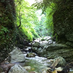 Aruarian dance // the lamp is low cover