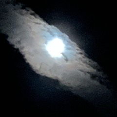 TRUTH (Demo)